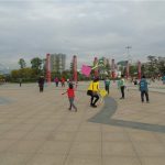 风向标——凤城街道社区综合服务中心开展“放飞快乐”亲子乐玩风筝活动
