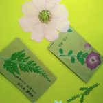 【青少年服务】“遇见你的小清新”——自我兴趣与个性探索小组