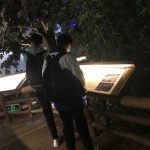 【石门社工站】“博物馆奇妙日”青少年户外拓展活动顺利开展
