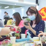 【石门社工站】“萌动微世界，遇见趣时光”，让我们一同走进微景观DIY世界